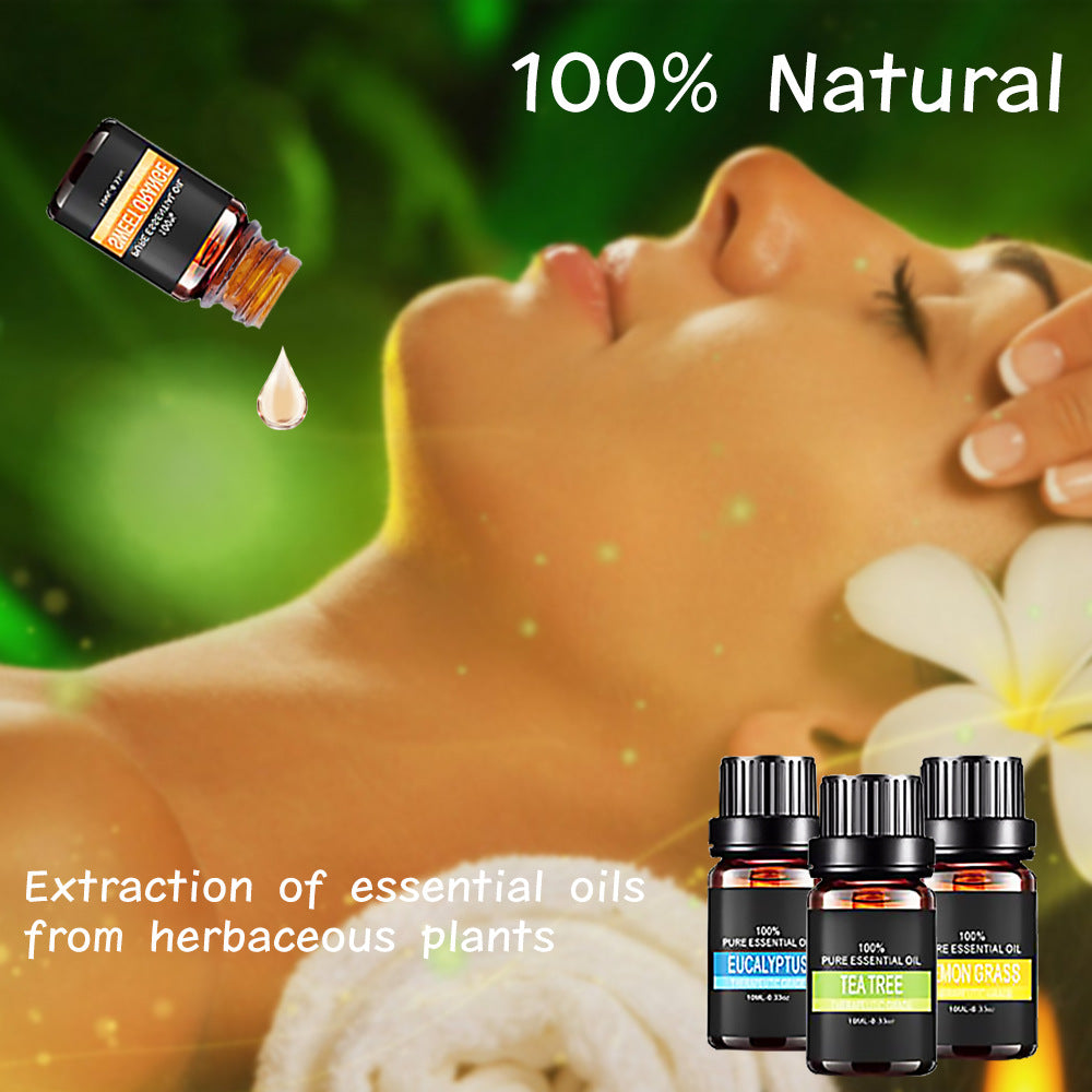 Organic Aromatherapy Oil Kit